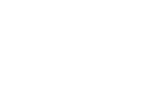 pos virtuale
